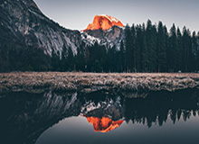 马竞与那不勒斯追逐若昂-戈麦斯，狼队欲留人至夏末|热刺|天空体育|安德烈-戈麦斯|若昂·菲利克斯|马德里竞技_新浪体育_新浪新闻